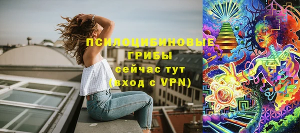 хмурый Алексин