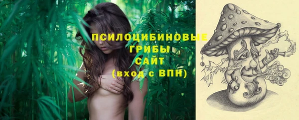 PSILOCYBIN Абдулино