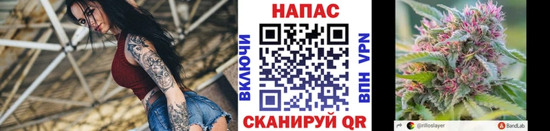 купить закладку  Таштагол  Бошки Шишки THC 21% 
